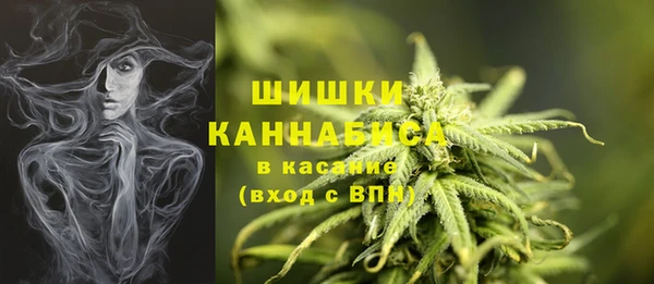 сатива Балахна