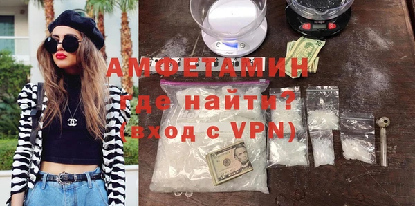 сатива Балахна