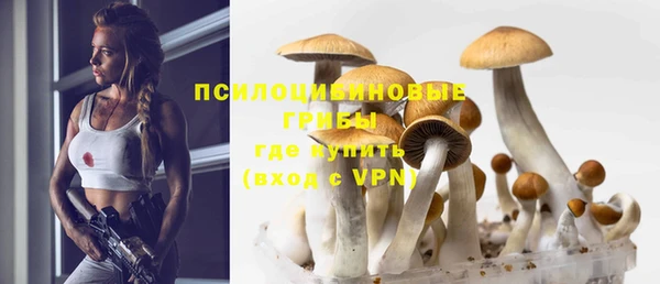 сатива Балахна