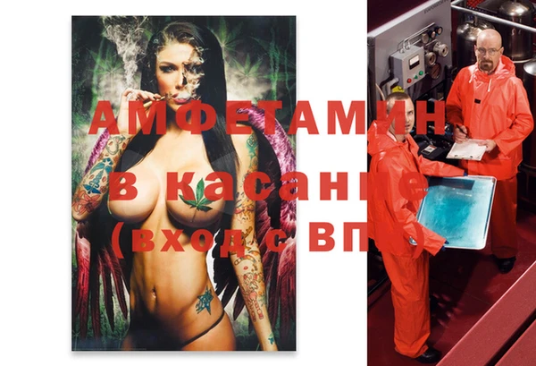 сатива Балахна