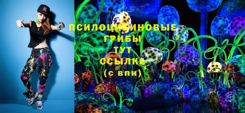 Псилоцибиновые грибы Psilocybine cubensis  Вуктыл 